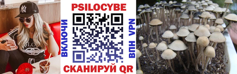 купить закладку  Мамоново  Галлюциногенные грибы Psilocybe 